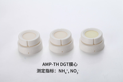 双模式DGT：AMP-TH DGT膜心