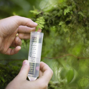 植物检测   测定指标：总磷、总氮、碳、重金属