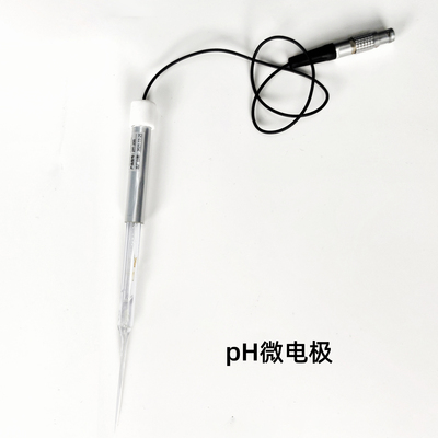 Easysensor®微电极：pH电极-尖端直径50μm