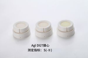 双模式DGT：AgI DGT膜心  测S(-Ⅱ)